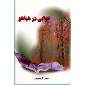 خوابی در هیاهو 