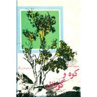 کوه و گودال