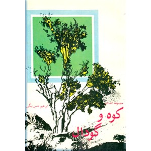 کوه و گودال