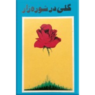 گلی در شوره زار 