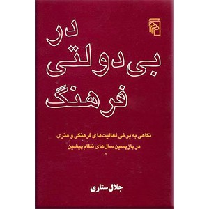 در بی دولتی فرهنگ