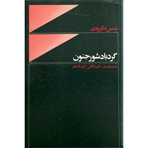 گردباد شور جنون