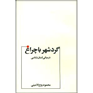 گرد شهر با چراغ