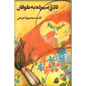 دلی سپرده به طوفان