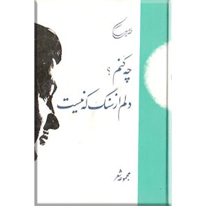 چه کنم ؟ دلم از سنگ که نیست