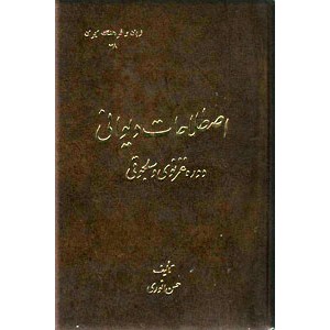 اصطلاحات دیوانی ؛ دوره غزنوی و سلجوقی