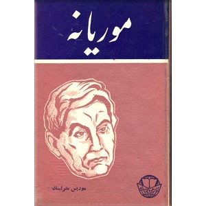 موریانه