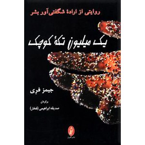 یک میلیون تکه کوچک