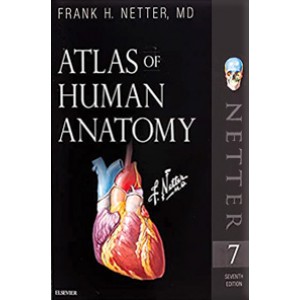 Atlas of Human Anatomy , Netter Basic Science