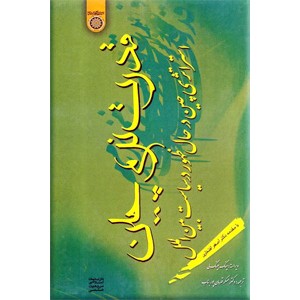 قدرت نرم چین