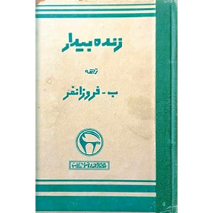 زنده بیدار