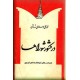 در کشور شوراها