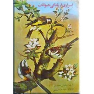 اسراری از زندگی حیوانات